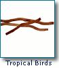 tropical bird supplies