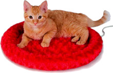 Fashion Splash Heated Cat Bed