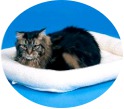 Quiet Time Cat Carrier Pads by Midwest