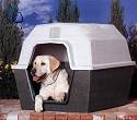 Barn Home Dog Houses