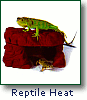 Reptile Heat and Lamps