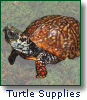 Turtle Supplies